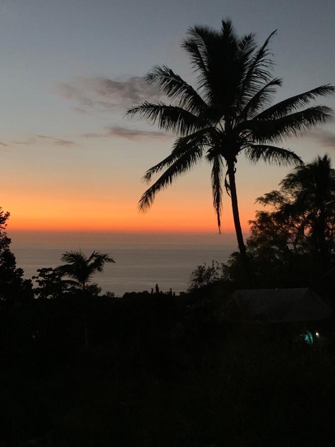 הוילה Kealakekua Cozy Jungle Boat Hideaway With Stunning Ocean View מראה חיצוני תמונה