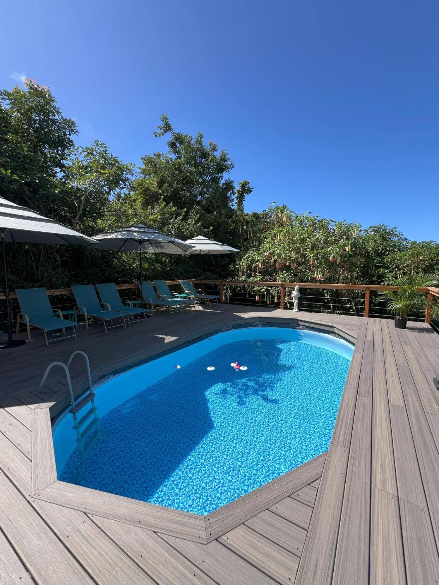 הוילה Kealakekua Cozy Jungle Boat Hideaway With Stunning Ocean View מראה חיצוני תמונה